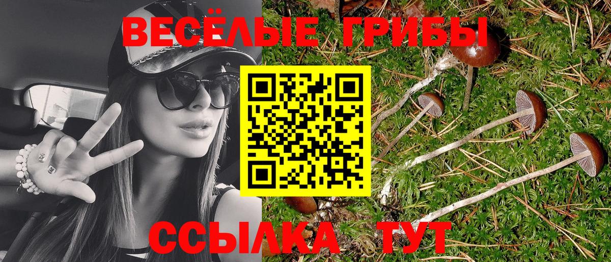 Псилоцибиновые грибы прущие грибы Старая Купавна