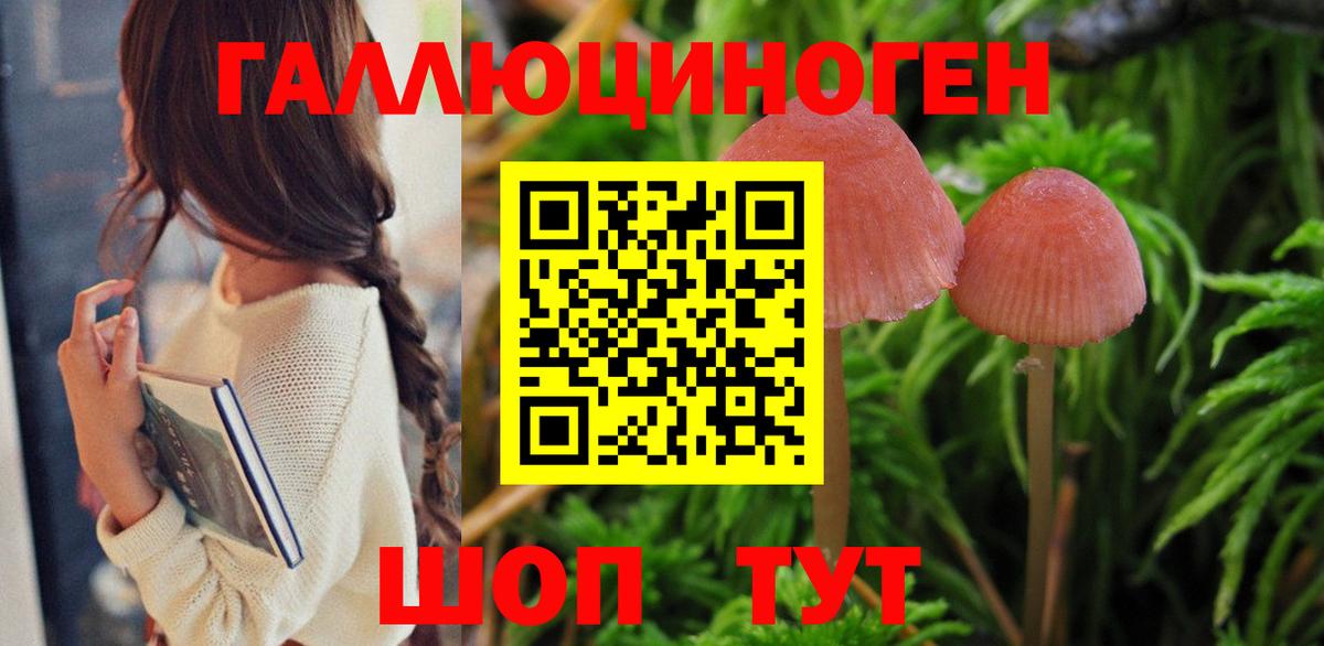 Старая Купавна  Псилоцибиновые грибы Psilocybe  Вход с VPN  Псилоцибиновые грибы GOLDEN TEACHER 